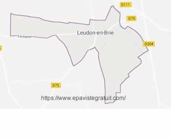 epaviste Leudon-en-Brie (77320) - enlevement epave gratuit
