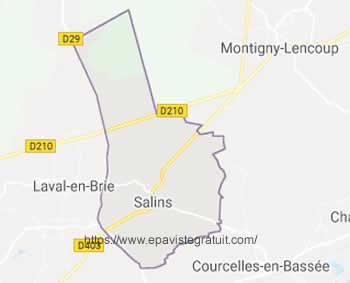 epaviste Salins (77148) - enlevement epave gratuit