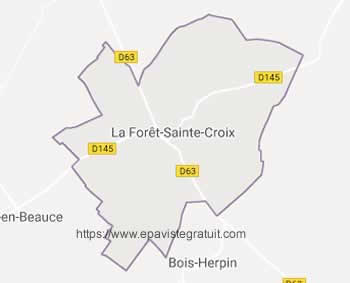 epaviste La Forêt-Sainte-Croix (91150) - enlevement epave gratuit