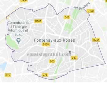epaviste Fontenay-aux-Roses (92260) - enlevement epave gratuit